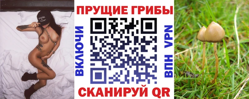 Псилоцибиновые грибы MAGIC MUSHROOMS сколько стоит Кашира